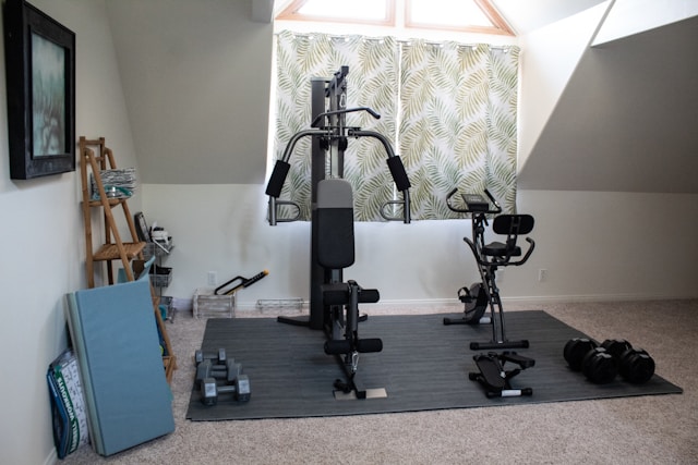 Panduan Lengkap Harga Alat Home Gym Sesuai Kebutuhan